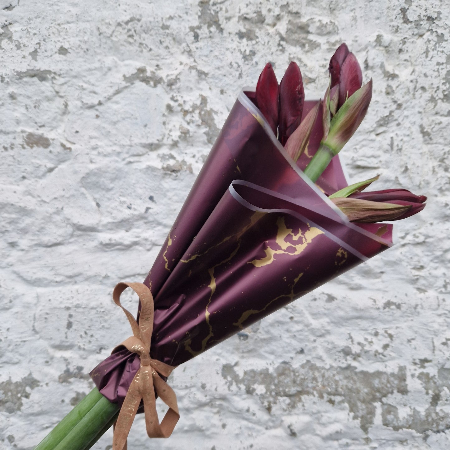 'The Amaryllis' Wrap