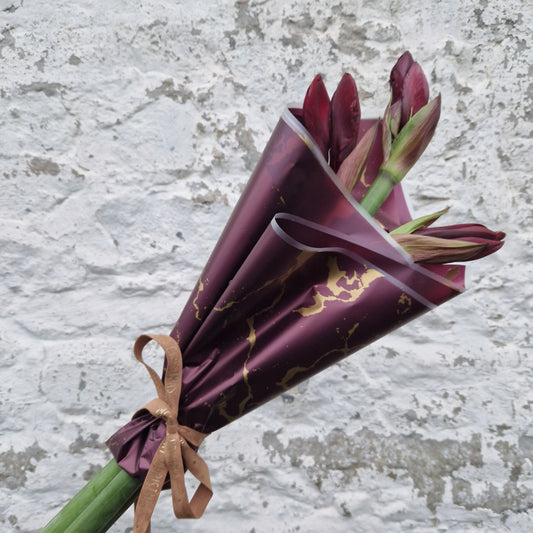 'The Amaryllis' Wrap